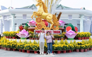 Say hi linh vật ngựa vàng tại phường Long Thuận, Đồng Tháp