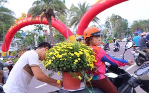 Dạo đường hoa Nguyễn Tất Thành (Gia Lai) ngày 29 Tết