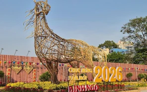 Đi đâu chơi gì trong những ngày còn lại của Tết Bính Ngọ 2026?