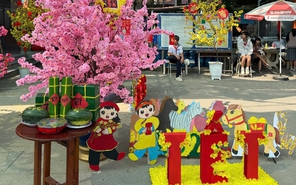 Không gian xuân rộn ràng, rực rỡ sắc hoa tại các trường học ở TP.HCM