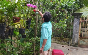 Bài tham dự sân chơi viết Chuyến xe mùa xuân: May mắn làm sao khi Tết vẫn còn nơi để trở về