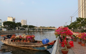 Người dân tham quan mua sắm sớm tại chợ hoa xuân 'Trên bến dưới thuyền'