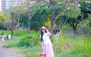 Góc trời hoa kèn hồng ‘hot rần rần’ mạng xã hội thu hút bạn trẻ check-in