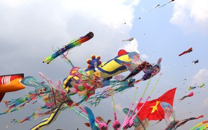 Cánh đồng diều Bà Canh rực rỡ sắc màu tại ngoại ô TP.HCM