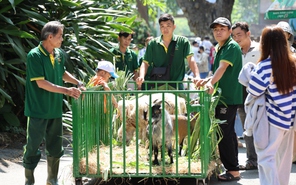 Mừng sinh nhật 162 năm Thảo cầm viên, “fan cứng” hào hứng lên đồ trẩy hội