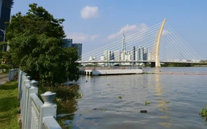 Xem hiện tượng nguyệt thực toàn phần ở đâu tại TP.HCM?