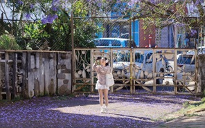 Đến phố núi Đà Lạt tận hưởng sự lãng mạn, bình yên mùa phượng tím