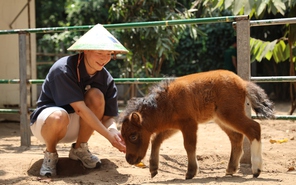 Ngựa lùn Cacao Thảo cầm viên ra mắt, “khai hoa bắt miếng” tại tiệc đầy tháng