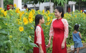 'Mùa xuân trên TP.HCM' và những giai điệu đi cùng 50 năm thành phố