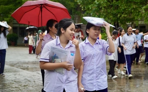 9h có điểm thi lớp 10 TP.HCM năm 2026, 2 cách tra cứu nhanh