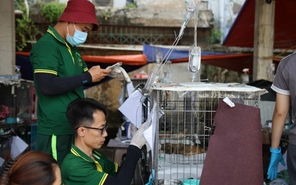 Phía sau hành trình chăm sóc hơn 400 chú mèo được giải cứu