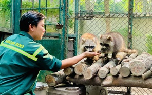 Kể chuyện Thảo Cầm Viên, rinh ngay giải thưởng 10 triệu đồng