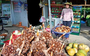 Những món ăn vặt siêu ngon làm từ dừa nước