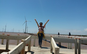 Ngẩn ngơ ngắm “Cánh đồng quạt gió” đẹp mê hồn ở Bạc Liêu