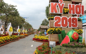 Dạo Xuân Kỷ Hợi 2019 với Đường hoa Ninh Kiều Cần Thơ