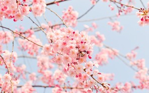 12 cung hoàng đạo ngày thứ Hai 05/04/2021