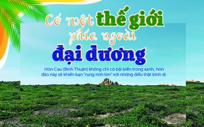 Hòn Cau - có một thế giới phía ngoài đại dương