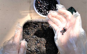 “Hành trình của hạt” và những trải nghiệm thú vị