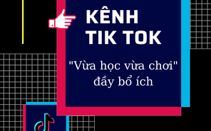 Điểm danh các kênh TikTok Việt Nam đúng hệ "vừa học vừa chơi" đầy bổ ích