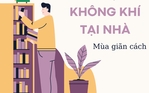 Note ngay những bước đơn giản để làm sạch không khí tại nhà mùa giãn cách