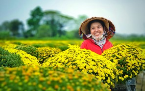 Làng hoa Sa Đéc rực rỡ những ngày cận Tết