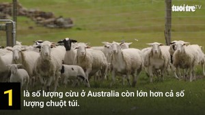 10 điều thú vị về Australia khiến bạn bất ngờ