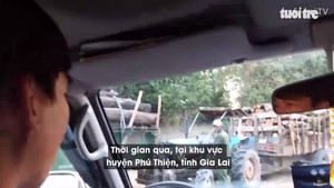 Gia Lai: Bắt quả tang hàng loạt xe chở gỗ lậu tại Phú Thiện