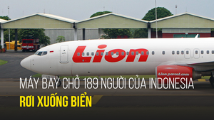 Máy bay chở 189 người của Indonesia rơi xuống biển