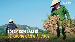 Tỏi Lý Sơn làm gì để không cần giải cứu?