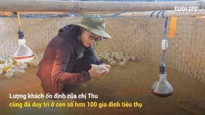 Kỳ thú chuyện cho gà nghe nhạc