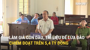 Làm giả con dấu, tài liệu để lừa đảo chiếm đoạt trên 5,4 tỷ đồng