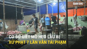 Cơ sở giết mổ heo lậu bị xử phạt 7 lần vẫn tái phạm