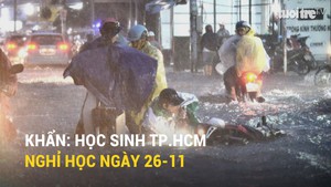 TP.HCM thông báo khẩn cho toàn bộ học sinh nghỉ học ngày 26-11