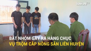 Bắt nhóm gây ra hàng chục vụ trộm cắp nông sản trị giá hơn 1 tỷ đồng