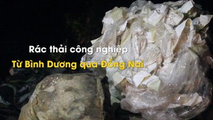 Gom rác thải công nghiệp tại Bình Dương mang qua Đồng Nai đổ trộm