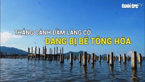 Thắng cảnh đầm Lăng Cô đang bị bê tông hóa