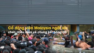 Cổ động viên Malaysia ngất xỉu chen nhau mua vé chung kết bóng đá