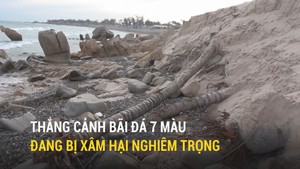 Thắng cảnh bãi đá 7 màu đang bị xâm hại nghiêm trọng