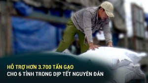 Hỗ trợ hơn 3.700 tấn gạo cho 6 tỉnh trong dịp Tết Nguyên đán