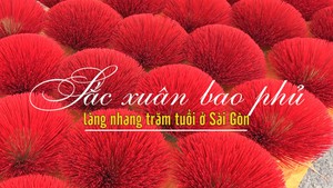 Sắc xuân bao phủ làng nhang trăm tuổi ở Sài Gòn