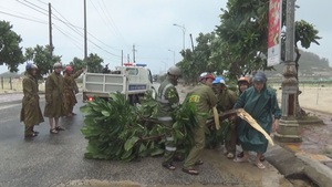 Lý Sơn khẩn trương khắc phục thiệt hại ban đầu do bão số 6