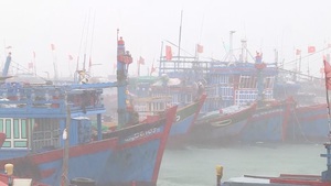 Đề nghị hỗ trợ nhiên liệu, lương thực 86 ngư dân trú bão ở Philippines