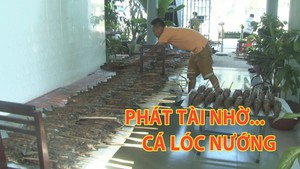 Tin nóng 24h: Sôi động ngày Thần Tài, người mua chờ đợi, người bán phát tài ngay!