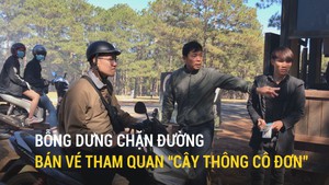 Bỗng dưng chặn đường bán vé tham quan 'cây thông cô đơn'