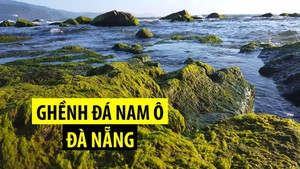 Đẹp nao lòng ghềnh đá Nam Ô rêu phủ tại Đà Nẵng