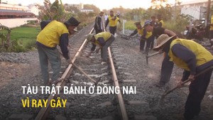 Tàu trật bánh ở Đồng Nai vì ray gãy