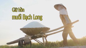 Góc nhìn trưa nay 23-2 | Những người phụ nữ giữ hồn cho muối Bạch Long