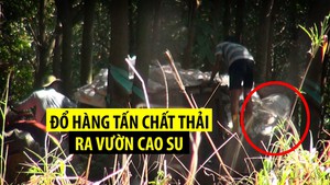 Tin nóng 24h: Chở hàng tấn chất thải đổ thẳng ra vườn cao su