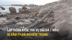 Lập đoàn kiểm tra vụ bãi đá 7 màu bị xâm phạm nghiêm trọng