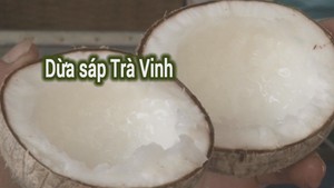 Góc nhìn trưa nay | Khám phá những điều thú vị về trái dừa sáp Trà Vinh